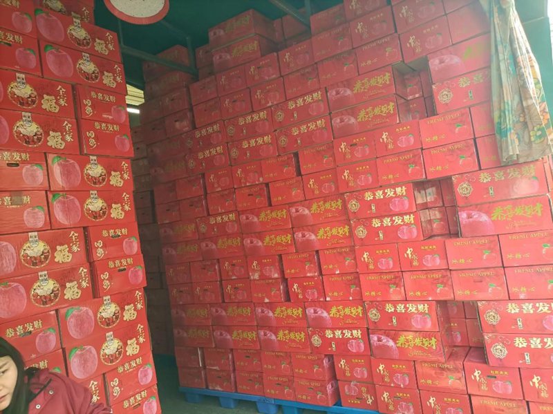 外贸行业的趋势与挑战：看进出口贸易公司的前瞻布局